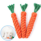 Carrot Dog Toy
