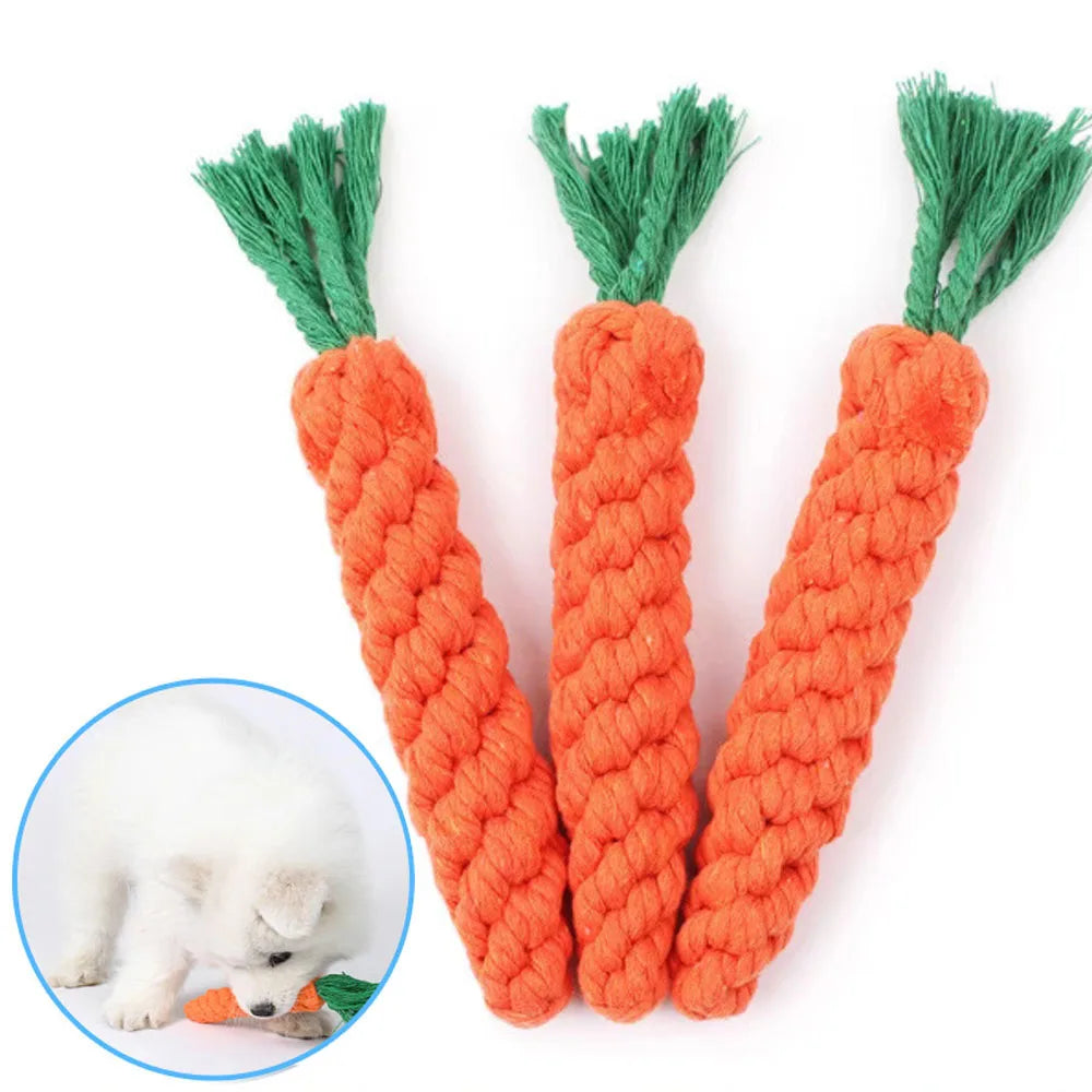 Carrot Dog Toy