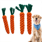 Carrot Dog Toy