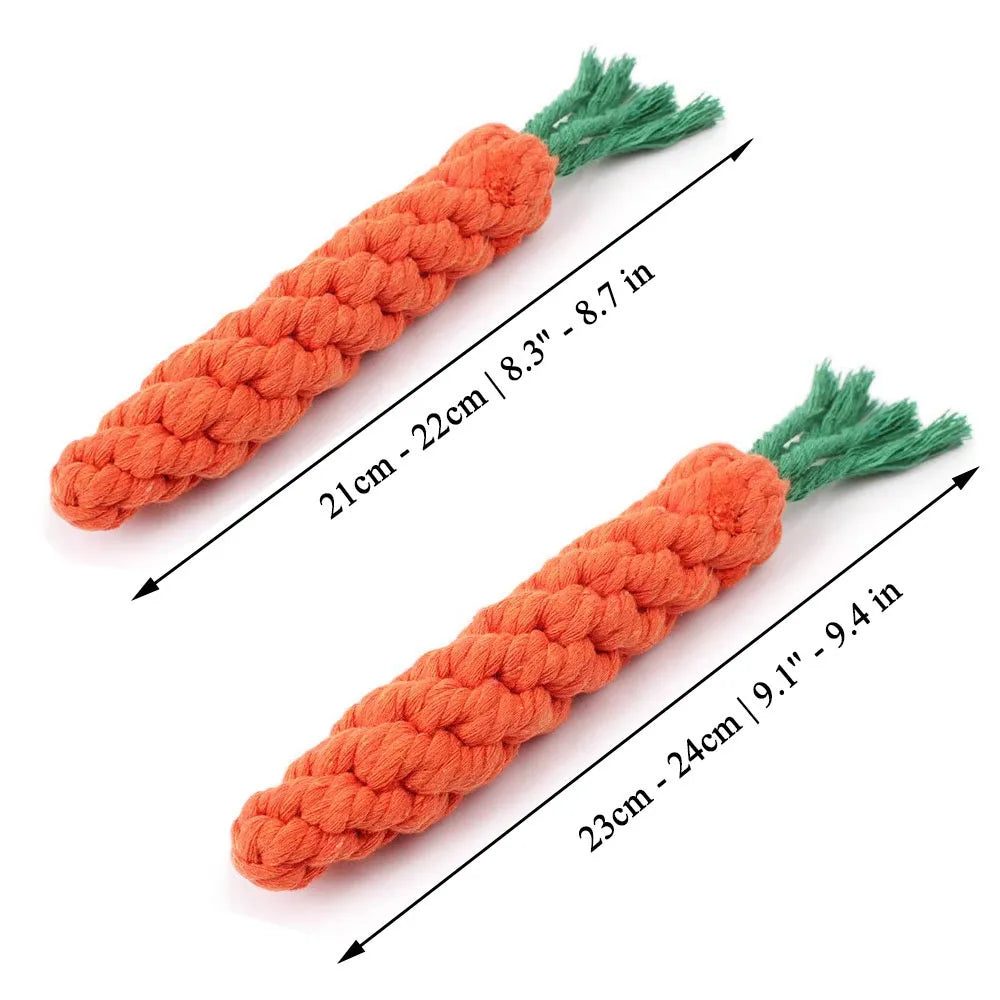 Carrot Dog Toy