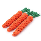 Carrot Dog Toy