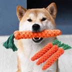Carrot Dog Toy
